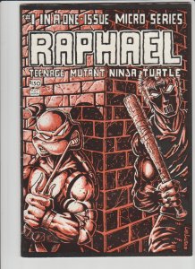 Teenage Mutant Ninja Turtles Raphael (1984)*Price Drop*