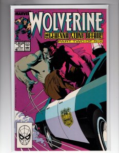 Wolverine #12 (1989) / HCA5