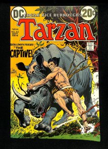 Tarzan (1972) #212