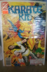 Karate Kid #13 (1978)