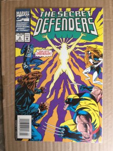 The Secret Defenders #2