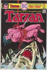 Tarzan #243 (1975)