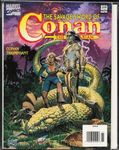 The Savage Sword of Conan #215 (1993) Conan