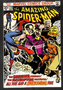 Amazing Spider-Man #118 VG/FN 5.0 Marvel Comics Spiderman