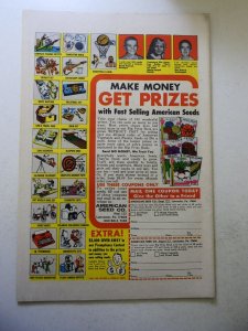 The Flash #204 (1971) FN+ Condition