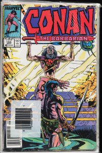 Conan the Barbarian #194 (1987) Conan