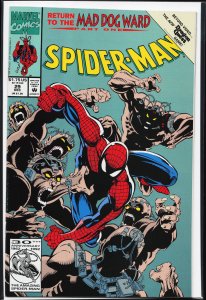 Spider-Man #29 (1992) Spider-Man