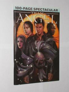 TEAM ANGEL 100 PAGE SPECTACULAR NEAR MINT.