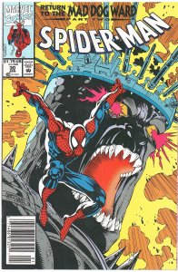 Spider-Man #30 (1993)