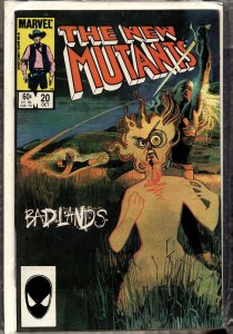 The New Mutants #20 (1984) New Mutants