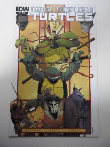 Teenage Mutant Ninja Turtles #6 Cover RI - Rob Guillory Variant (2012)