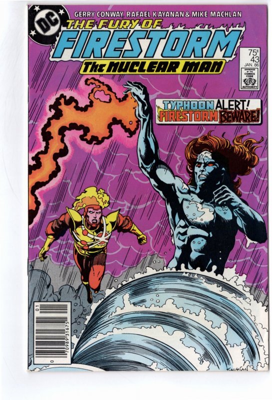 The Fury of Firestorm #43 (1986)