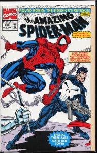 The Amazing Spider-Man #358 (1992) Spider-Man
