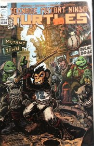 Teenage mutant ninja turtles