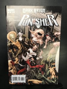 Punisher #6 (2009)nm