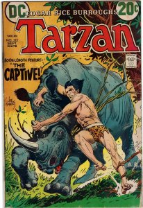 Tarzan #212 DC Comics Joe Kubert FN-