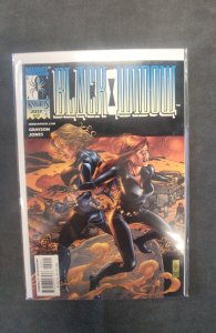 Black Widow #2 (1999)