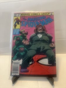 The Amazing Spider-Man 232