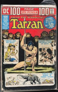 DC 100-Page Super Spectacular #19 (1973)