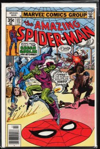 The Amazing Spider-Man #177 (1978) Spider-Man