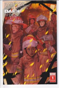 DARK SPACES WILDFIRE (2022 IDW) #1 VARIANT CVR D