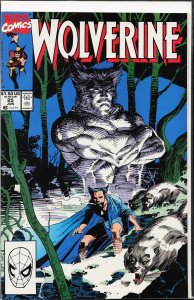 Wolverine #25 (1990) Wolverine