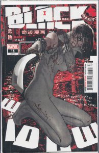 Black Widow #13 (2022)