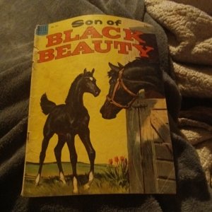 Dell Comics Son Of Black Beauty #510! Golden Age 1953 Four Color painted cover