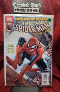 The Amazing Spider-Man #546 (2008)