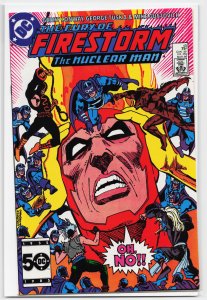The Fury of Firestorm #45 (1986) Firestorm
