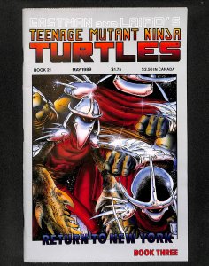 Teenage Mutant Ninja Turtles #21