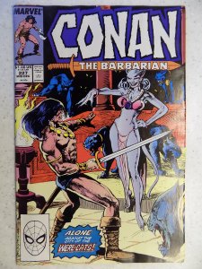 Conan the Barbarian #227 (1989)