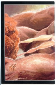 Cavewoman The Mature Version - Nude Wrap Cover Variant (1998)