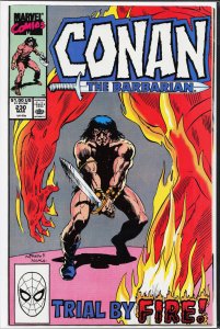 Conan the Barbarian #230 (1990) Conan