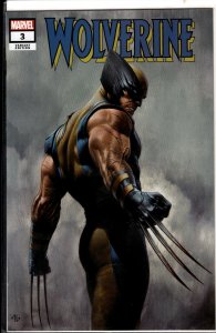 Wolverine #3 Granov Cover A (2020) Wolverine