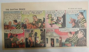 The Bantam Prince Sunday by Lariar and Pfeufer from 6/22/1952 Size: 7.5 x 15 in