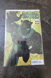 Black Panther #24 Quinones Cover (2021)