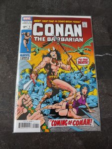 CONAN THE BARBARIAN Classic Collection #1 (2019)
