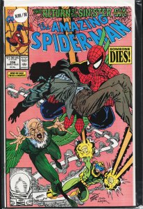 The Amazing Spider-Man #336 (1990) Spider-Man