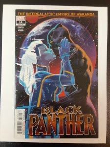 Black Panther #14 (2018 Series) (W) by Ta-Nehisi Coates. Art  by Daniel Acuna.