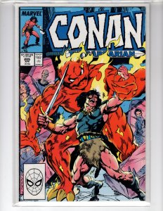Conan the Barbarian #205 (1988)  - [NSC•ECA7]