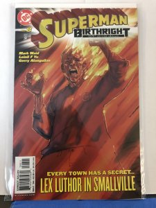 Superman: Birthright #8 (2004)