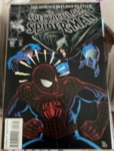 The Spectacular Spider-Man #207 (1993) Spider-Man 