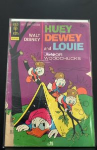 Huey, Dewey and Louie Junior Woodchucks #22 (1973)