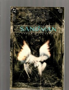 Lot Of 10 Sandman DC Comic Books # 19 20 21 22 23 24 25 26 27 28 Neil Gaiman SB5