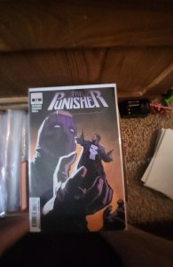 The Punisher #11 (2019)  