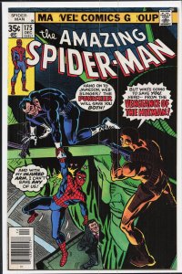 The Amazing Spider-Man #175 (1977) Spider-Man