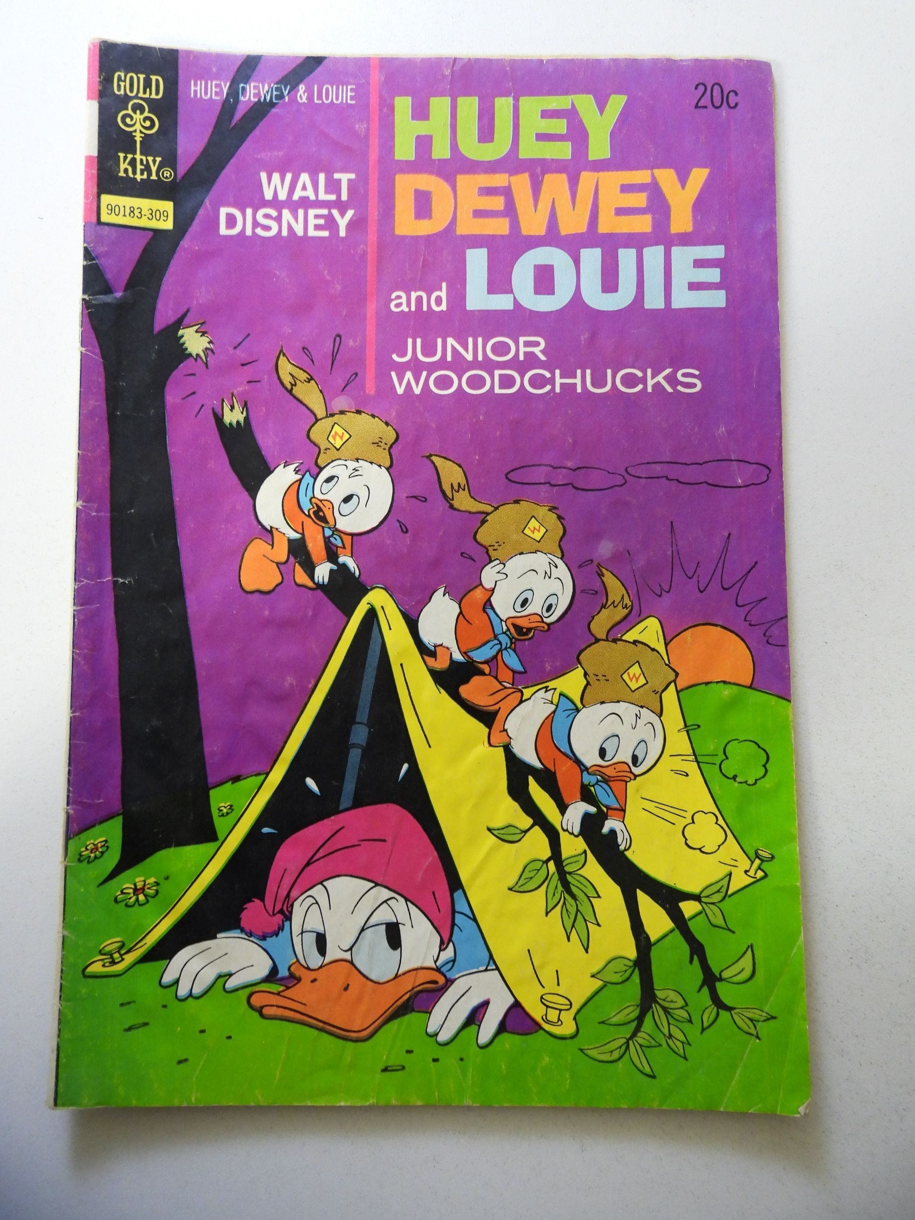 Walt Disney Huey Dewey And Louie Junior Woodchucks 22 1973 Comic