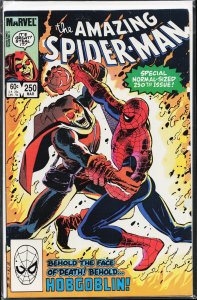 The Amazing Spider-Man #250 (1984) Spider-Man