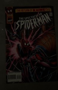 The Spectacular Spider-Man #231 Direct Edition (1996) Spider-Man 